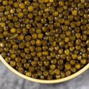 Gold caviar Kaluga Queen 30g